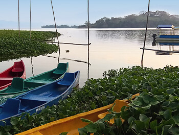 В ПОИСКАХ ЗАТЕРЯННОГО РАЯ