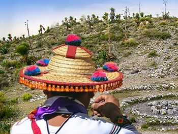 ТАЙНЫ ШАМАНОВ МЕКСИКИ